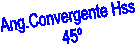 Ang.Convergente Hss 
45
