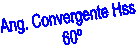 Ang. Convergente Hss 
60
